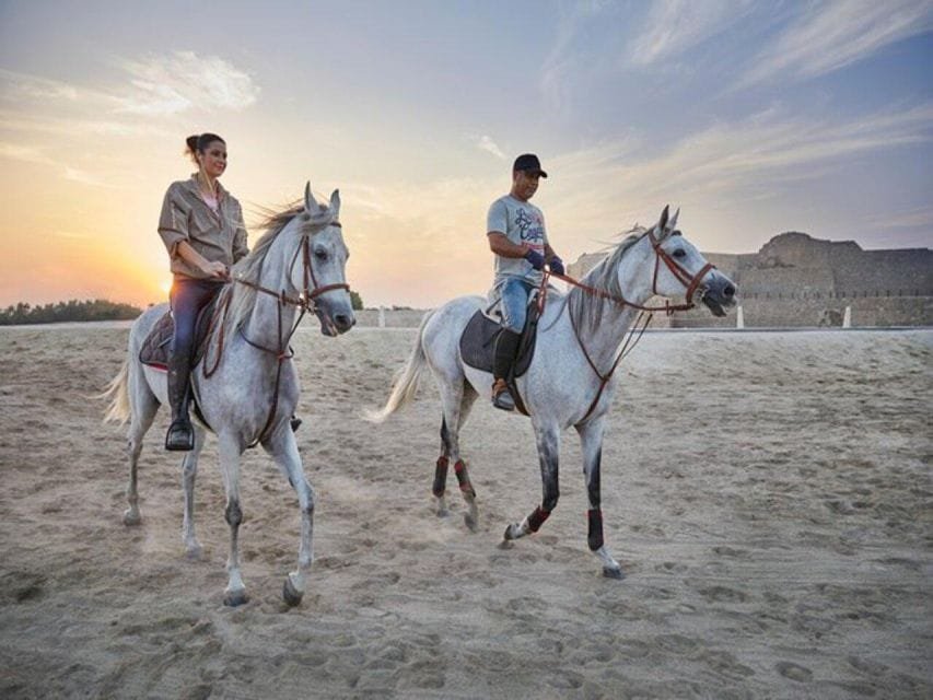 Horse Riding Adventure in Hurghada | Best Hurghada Tours 145 (1)