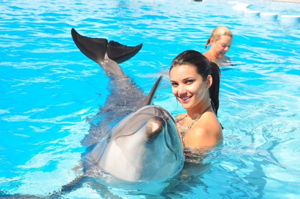 Best Dolphin Show Tour in Hurghada | Best Hurghada Tours 145 (11)