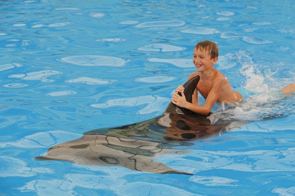Best Dolphin Show Tour in Hurghada | Best Hurghada Tours 145 (12)