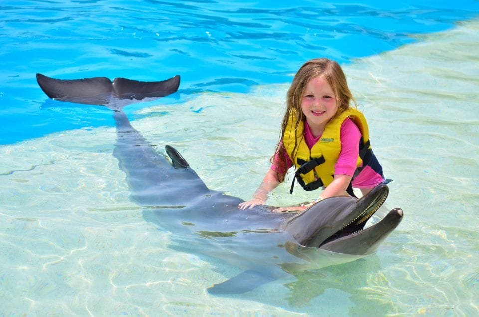 Best Dolphin Show Tour in Hurghada | Best Hurghada Tours 145 (5)