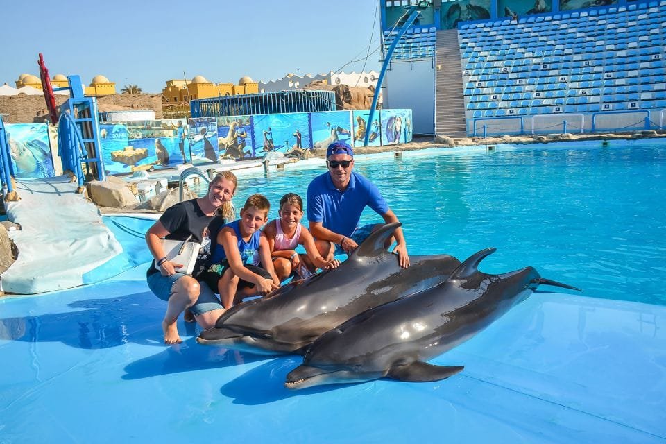 Best Dolphin Show Tour in Hurghada | Best Hurghada Tours 145 (6)