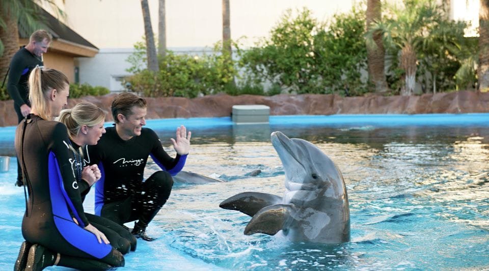 Best Dolphin Show Tour in Hurghada | Best Hurghada Tours 145 (7)
