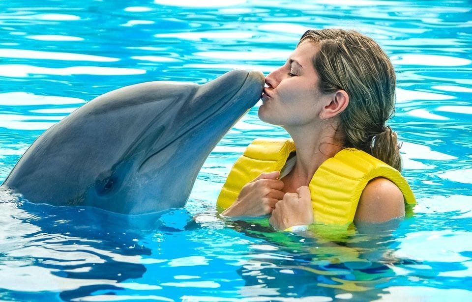 Best Dolphin Show Tour in Hurghada | Best Hurghada Tours 145 (8)