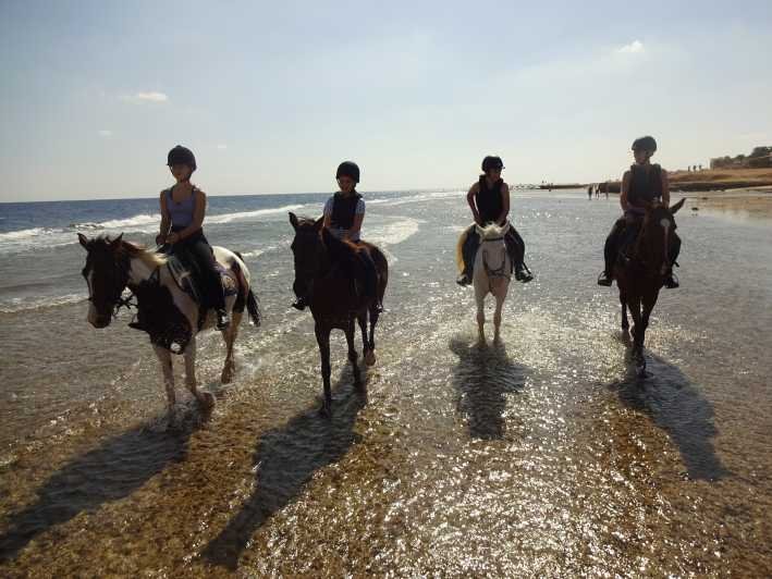 Horse Riding Adventure in Hurghada | Best Hurghada Tours 146 (1)