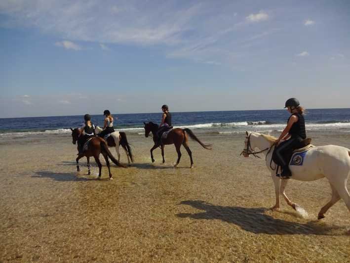 Horse Riding Adventure in Hurghada | Best Hurghada Tours 146